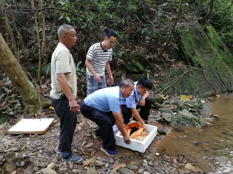 ����Ұ������