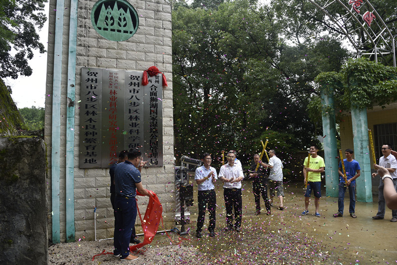 �����ֳ�